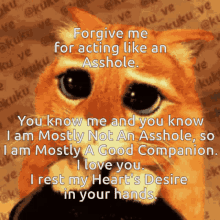 cat big eyes forgive me you know me not cat big eyes forgive me you know me not