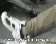 subway animals