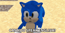 Can You Speak English Sonic GIF - Can You Speak English Sonic English GIFs