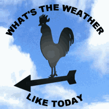 What Is The Weather Like Inclement Weather GIF - What Is The Weather Like Inclement Weather Nice Weather GIFs