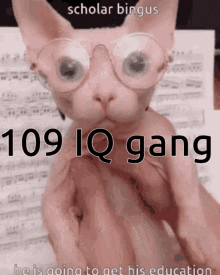 109 Iq GIF - 109 Iq Gang GIFs