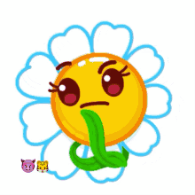 flower daisy romashka loves me or loves me not wondering deciding