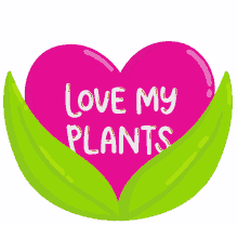 Love Plants House Plant GIF - Love Plants Plants Plant GIFs