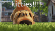 Dug Dug Kitties GIF - Dug Dug Kitties Tacoslayerdad GIFs