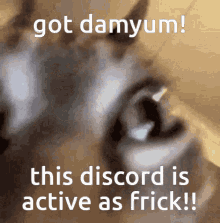 Discord Discord Active GIF - Discord Discord Active Muunjuice GIFs