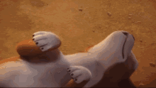 sgt stubby roll over stubby movie sergeant stubby sergeant sgt stubby roll over stubby movie sergeant stubby sergeant