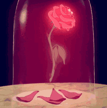 she loves me she loves me not beauty and the beast rose glitter she loves me she loves me not beauty and the beast rose glitter
