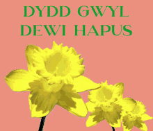 Dydd Gwyl Dewi St Davids GIF - Dydd Gwyl Dewi St Davids Wales GIFs