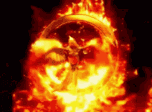 phoenix fire flame logo phoenix bird