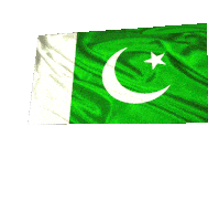 Pakistan Flag Pakistani Flag Sticker - Pakistan Flag Pakistani Flag Proud To Be Pakistan Stickers
