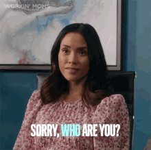 Sorry Who Are You Jenny GIF - Sorry Who Are You Jenny Workin Moms GIFs