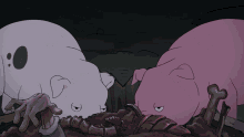 feeding pigs kiss huh shocked feeding pigs kiss huh shocked