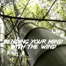 Bending Your Mind With The Wind Bamboo GIF - Bending Your Mind With The Wind Bend Bamboo GIFs