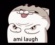 Ami Laugh Amin GIF - Ami Laugh Amin Cat GIFs