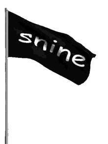 snine19 snine cat flag 2b2e