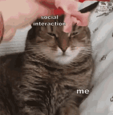 awkward social interaction someone help uncomfortable anxiety awkward social interaction someone help uncomfortable anxiety