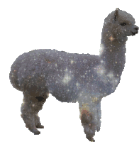 Sparkling Llama Sticker - Sparkling Llama Galaxy Stickers