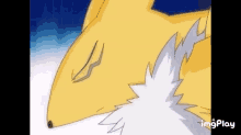 Renamon Digimon GIF - Renamon Digimon GIFs