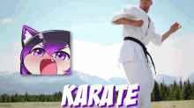 Karate Radiant Soul GIF - Karate Radiant Soul Karate Kick GIFs