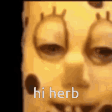 Herb Hi Herb GIF - Herb Hi Herb Pheno GIFs