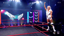 xia nxt