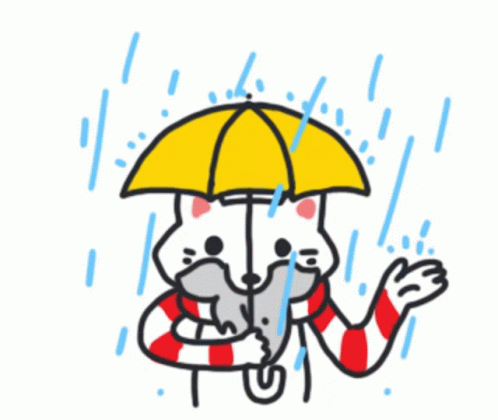 foxin the rain daiwng foxin the rain daiwng