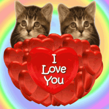 I Love You Love You Kittens GIF - I Love You Love You Kittens Love You Hearts GIFs