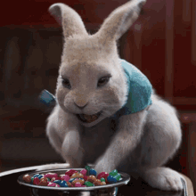Candy Cottontail GIF - Candy Cottontail Peter Rabbit2the Runaway GIFs
