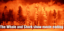 The Whale And Shark Show The Whale And Shark Show Movie GIF - The Whale And Shark Show The Whale And Shark Show Movie Trees GIFs