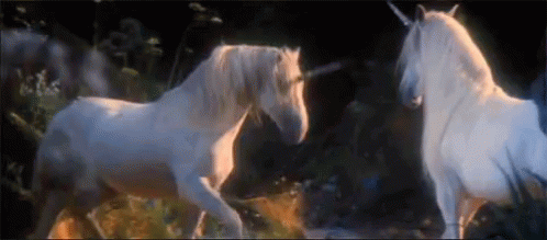 unicorn-horse.gif