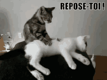 Repose-toi GIF - Repose Toi GIFs