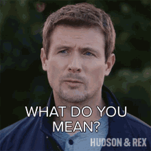 What Do You Mean Charlie Hudson GIF - What Do You Mean Charlie Hudson Hudson And Rex GIFs