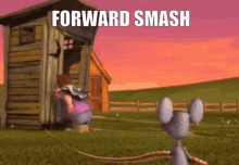 barnyard pig