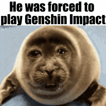 Genshin Genshin Impact GIF - Genshin Genshin Impact Genshin Impact Fan GIFs