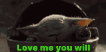 You Will Love Me Baby Yoda GIF - You Will Love Me Baby Yoda Love GIFs