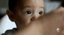 feeding baby cute adorable eating feeding baby cute adorable eating
