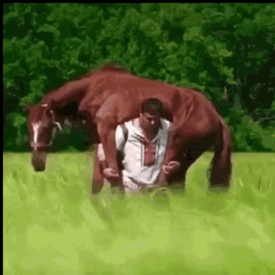 horse-man-drunk-carrying-a-horse.gif