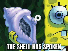 The Shell GIF - The Shell Has GIFs