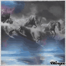 blue wave horses