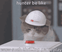 Hunter Cat GIF - Hunter Cat GIFs