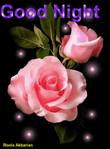 Good Night Pink Rose GIF - Good Night Pink Rose Rose GIFs