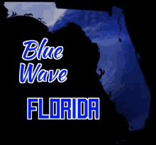 Blue Wave Water GIF - Blue Wave Water Florida GIFs