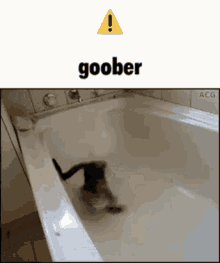 Goober Cat GIF - Goober Cat Silly GIFs