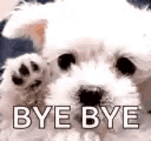 Good Bye Dog GIF - Good Bye Bye Dog GIFs