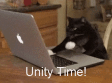 Unity Cat GIF - Unity Cat Typing GIFs