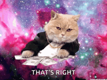 Cat Money GIF - Cat Money Awesome GIFs
