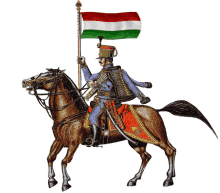 guard hungary