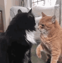 Fight Angry GIF - Fight Angry Quarrel GIFs
