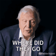 Where Did They Go Sir David Attenborough GIF - Where Did They Go Sir David Attenborough Youtube GIFs