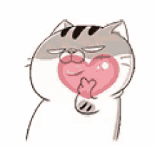 Ami Fat Cat Finger Heart GIF - Ami Fat Cat Finger Heart Love GIFs